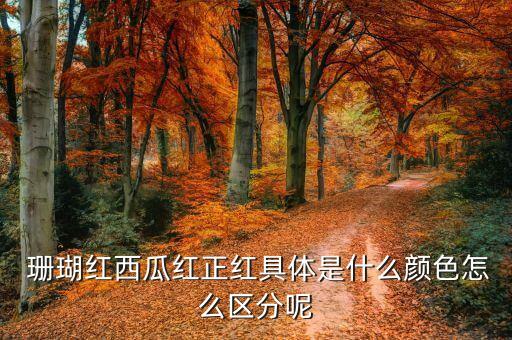 珊瑚紅的包配什么顏色,潮流色彩解碼:潮流顏色...